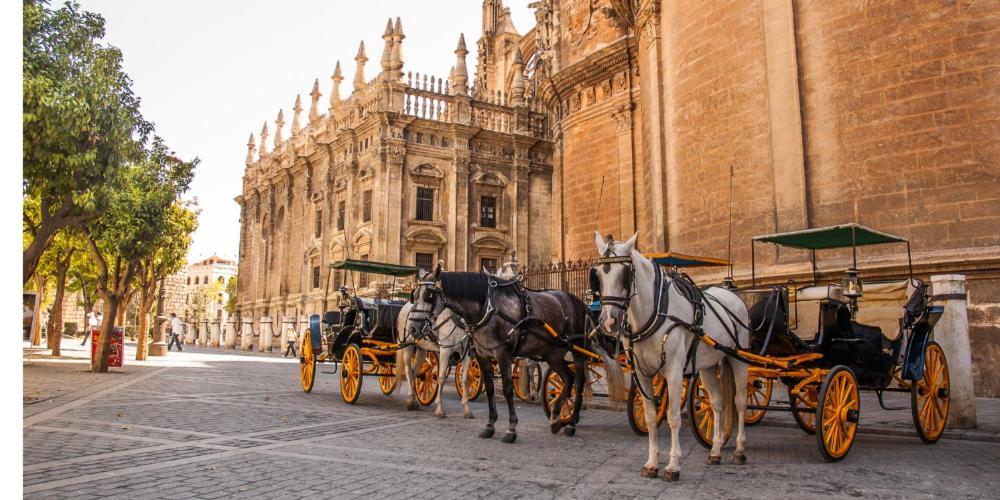 Chic Casa Cathedral At Calle Fresca 2-Bedroom Apartment In Malaga City Center מראה חיצוני תמונה